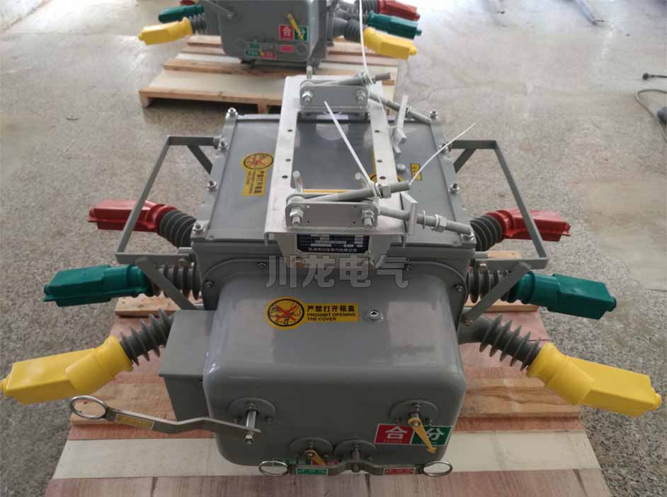 <b>ZW20真空斷路器帶看門狗分界開關</b>