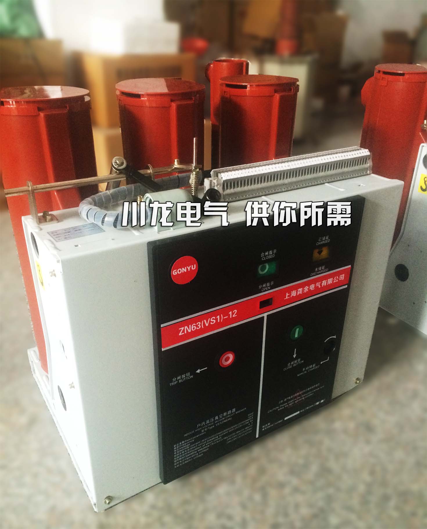 <b>ZN73-12戶內高壓真空斷路器VGYM-12</b>