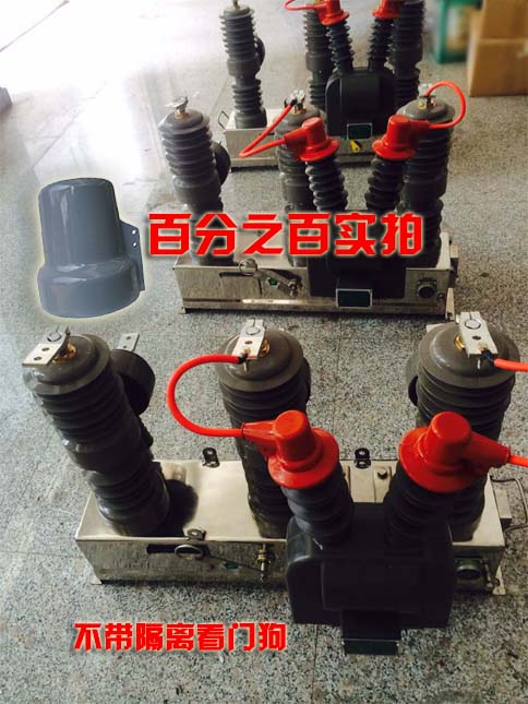 ZW32-12F看門狗分界真空斷路器