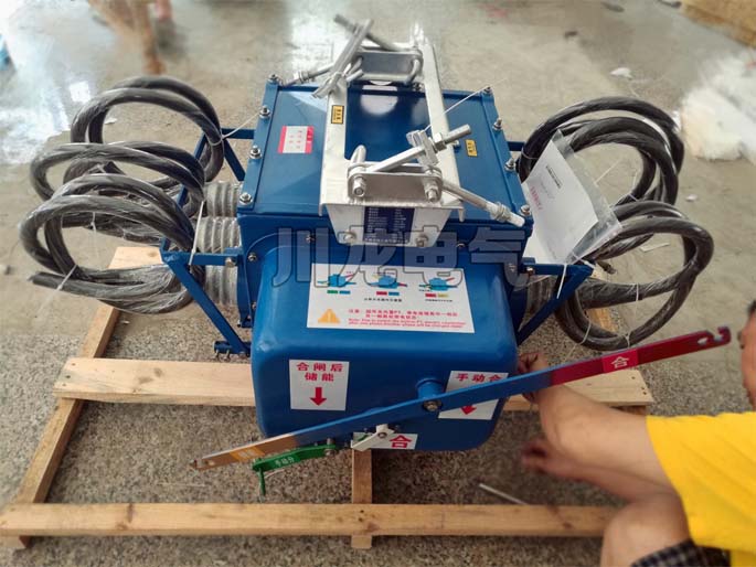 FZW28-12F看門狗真空分界負荷開關