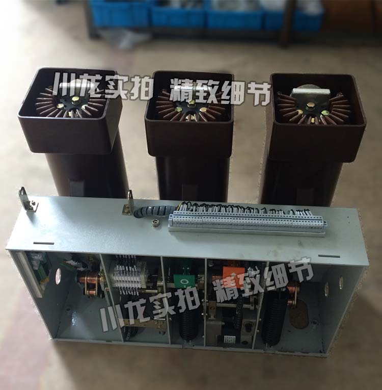 VS1大電流真空斷路器